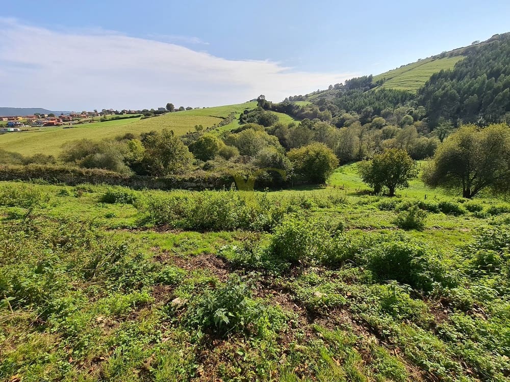 20 bedroom Townhouse for sale in Ribadedeva - € 800,000 (Ref: 9443471)