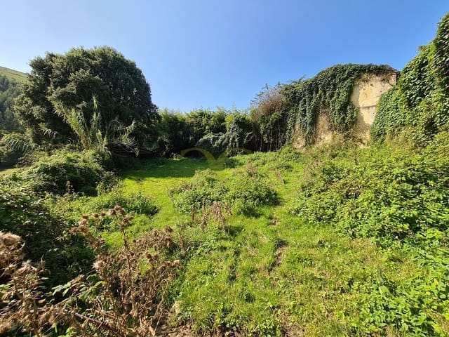 20 bedroom Townhouse for sale in Ribadedeva - € 800,000 (Ref: 9443471)