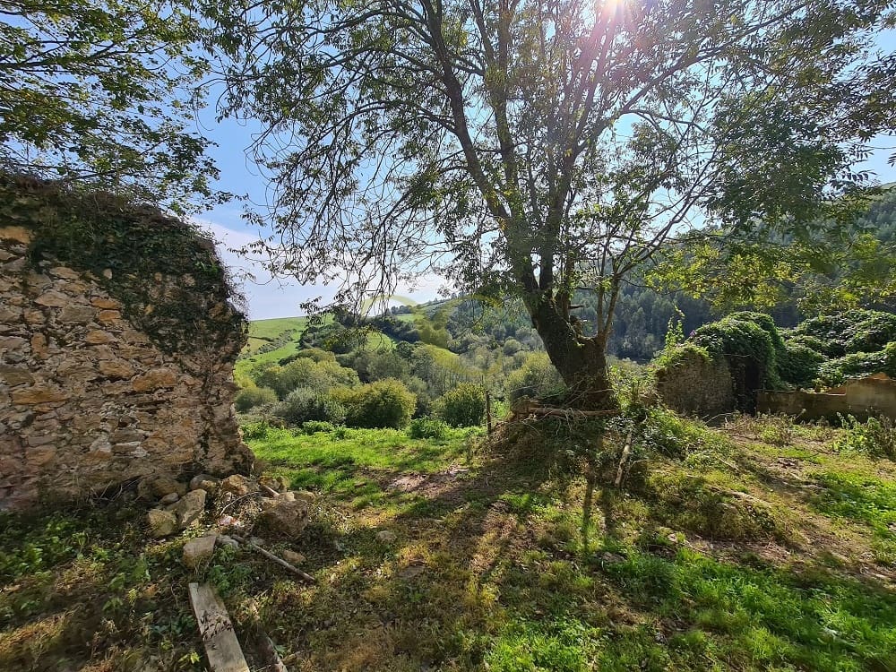 20 bedroom Townhouse for sale in Ribadedeva - € 800,000 (Ref: 9443471)