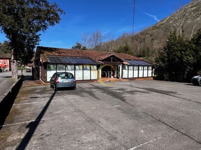 1 Zimmer Gewerbe zu verkaufen in Cangas de Onís - 350.000 € (Ref: 9443473)