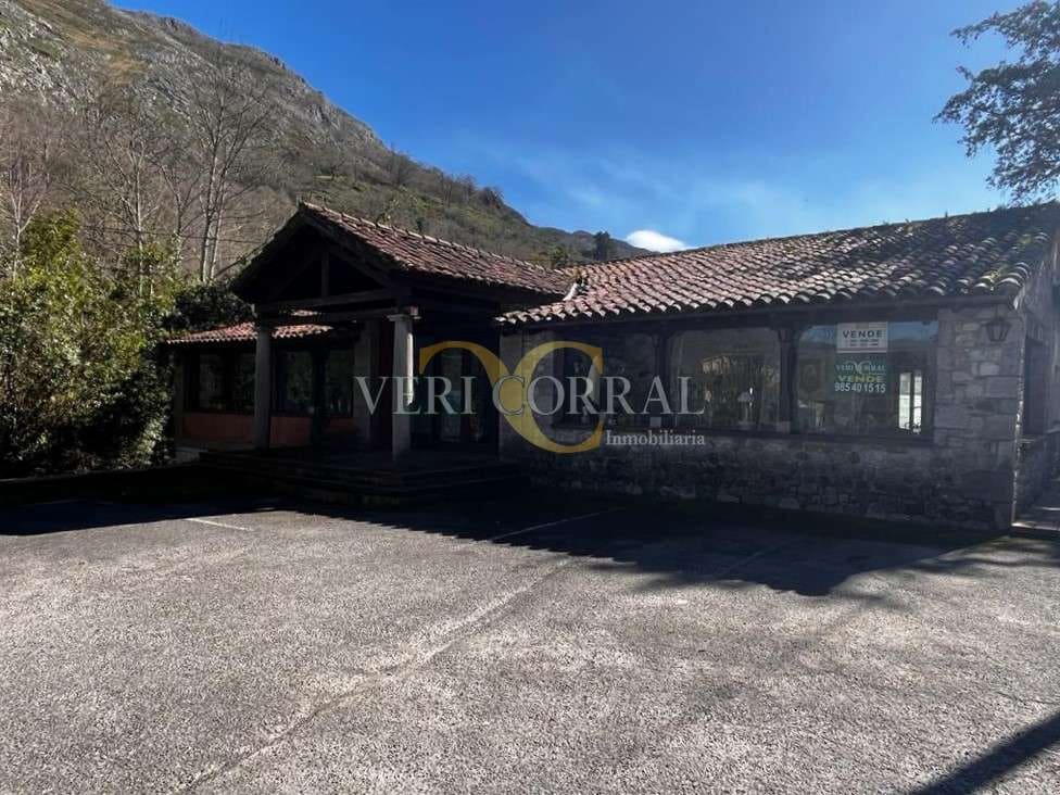 1 Zimmer Gewerbe zu verkaufen in Cangas de Onis - 350.000 € (Ref: 9443473)