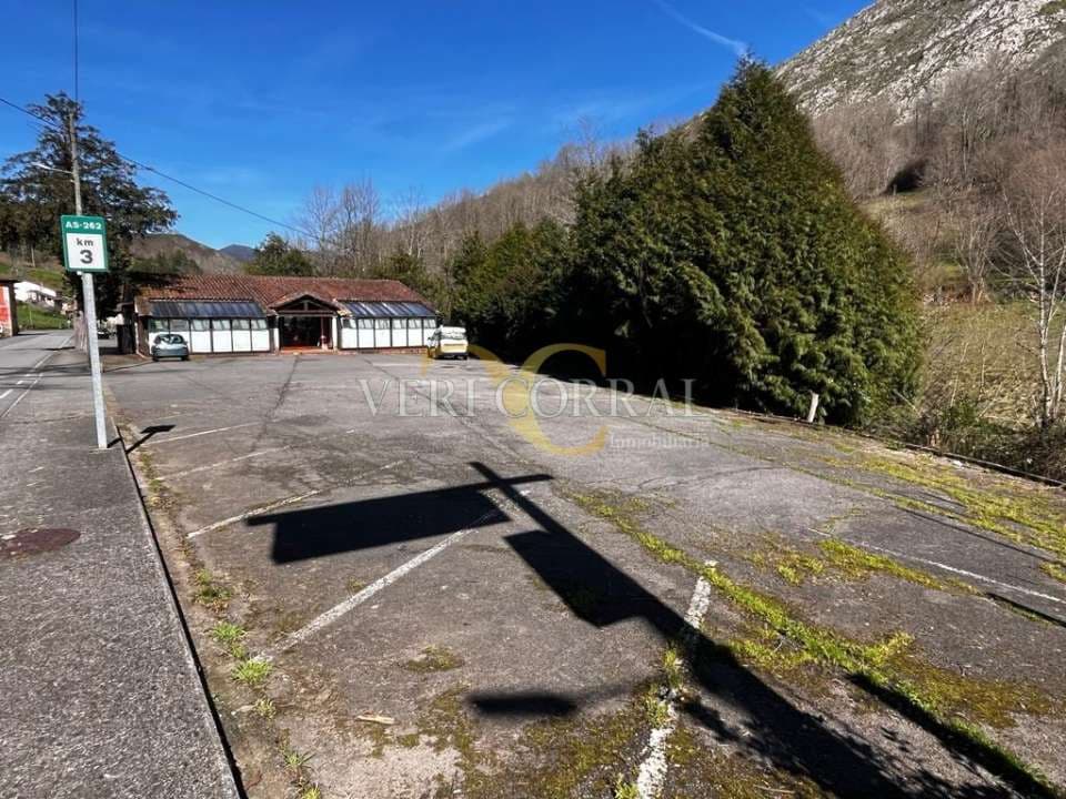 1 Zimmer Gewerbe zu verkaufen in Cangas de Onis - 350.000 € (Ref: 9443473)