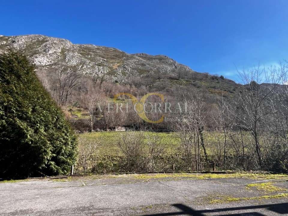 1 Zimmer Gewerbe zu verkaufen in Cangas de Onis - 350.000 € (Ref: 9443473)