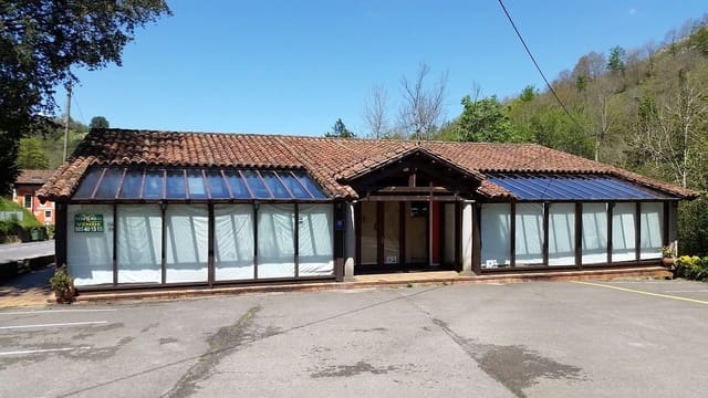 1 Zimmer Gewerbe zu verkaufen in Cangas de Onís - 350.000 € (Ref: 9443473)