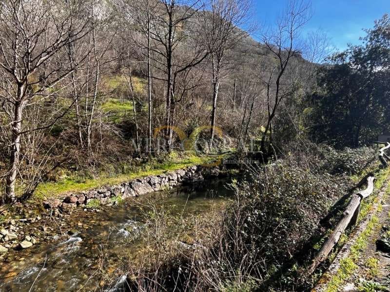 1 Zimmer Gewerbe zu verkaufen in Cangas de Onis - 350.000 € (Ref: 9443473)