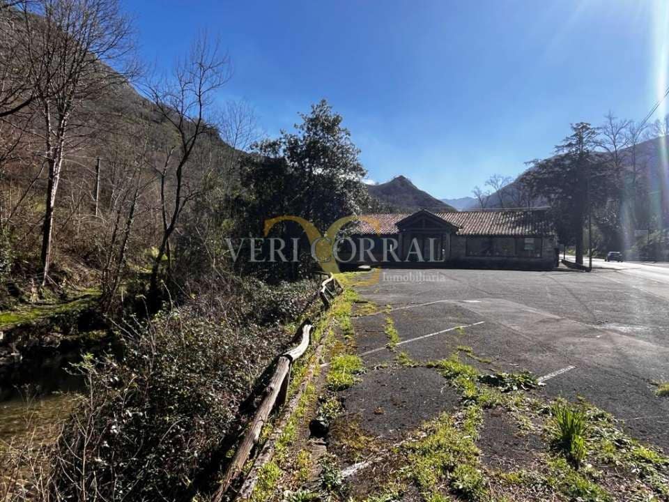 1 Zimmer Gewerbe zu verkaufen in Cangas de Onis - 350.000 € (Ref: 9443473)