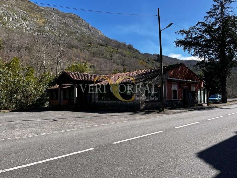 1 Zimmer Gewerbe zu verkaufen in Cangas de Onis - 350.000 € (Ref: 9443473)
