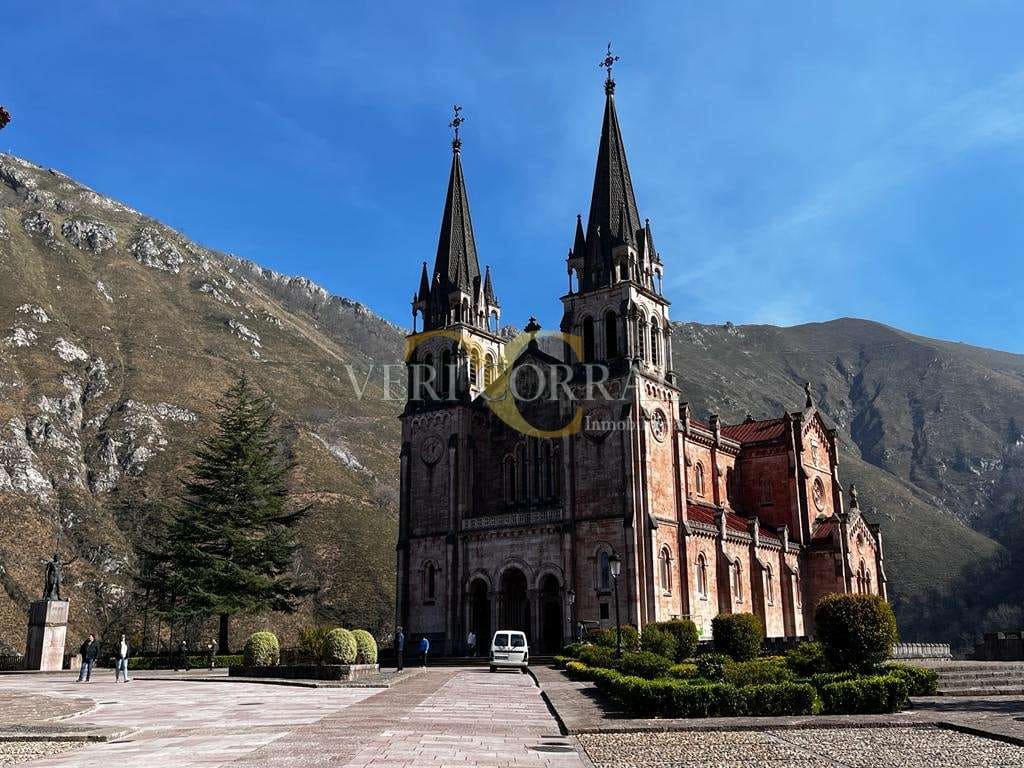 1 Zimmer Gewerbe zu verkaufen in Cangas de Onis - 350.000 € (Ref: 9443473)