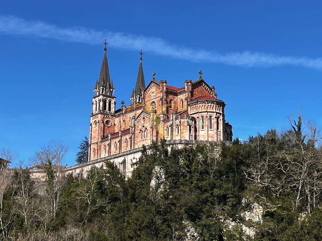 1 Zimmer Gewerbe zu verkaufen in Cangas de Onis - 350.000 € (Ref: 9443473)