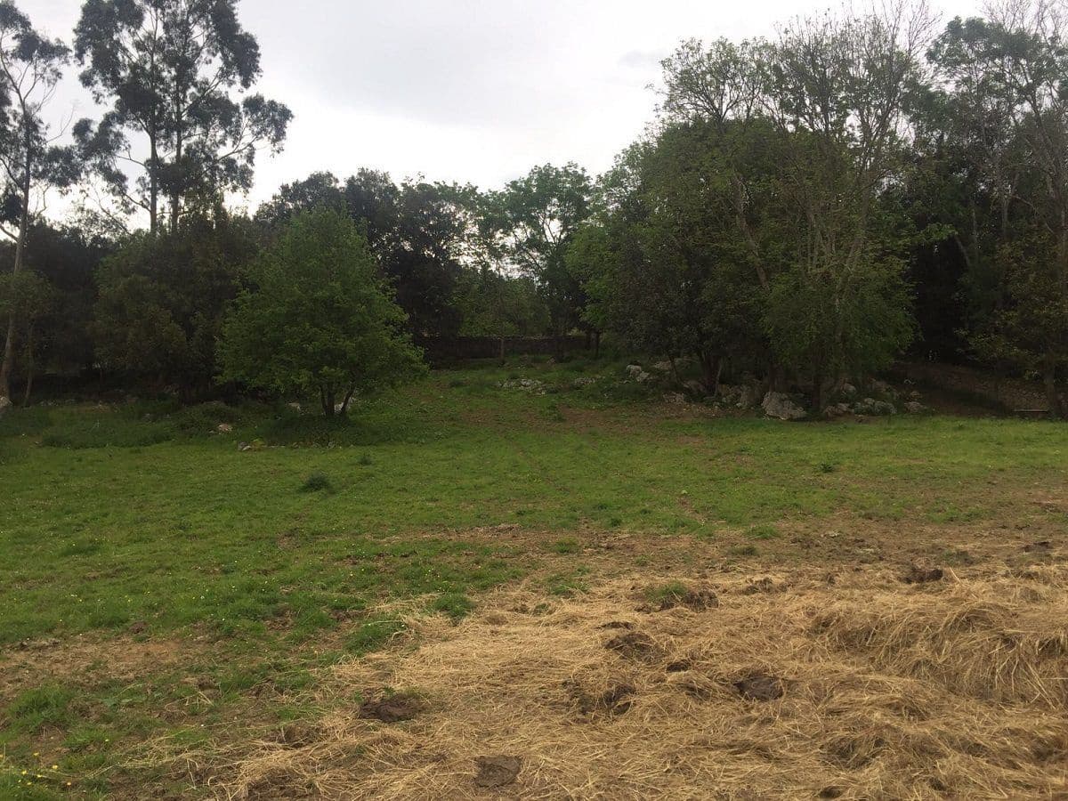 Ubebygd land til salgs i Llanes - € 1 200 000 (Ref: 9443474)