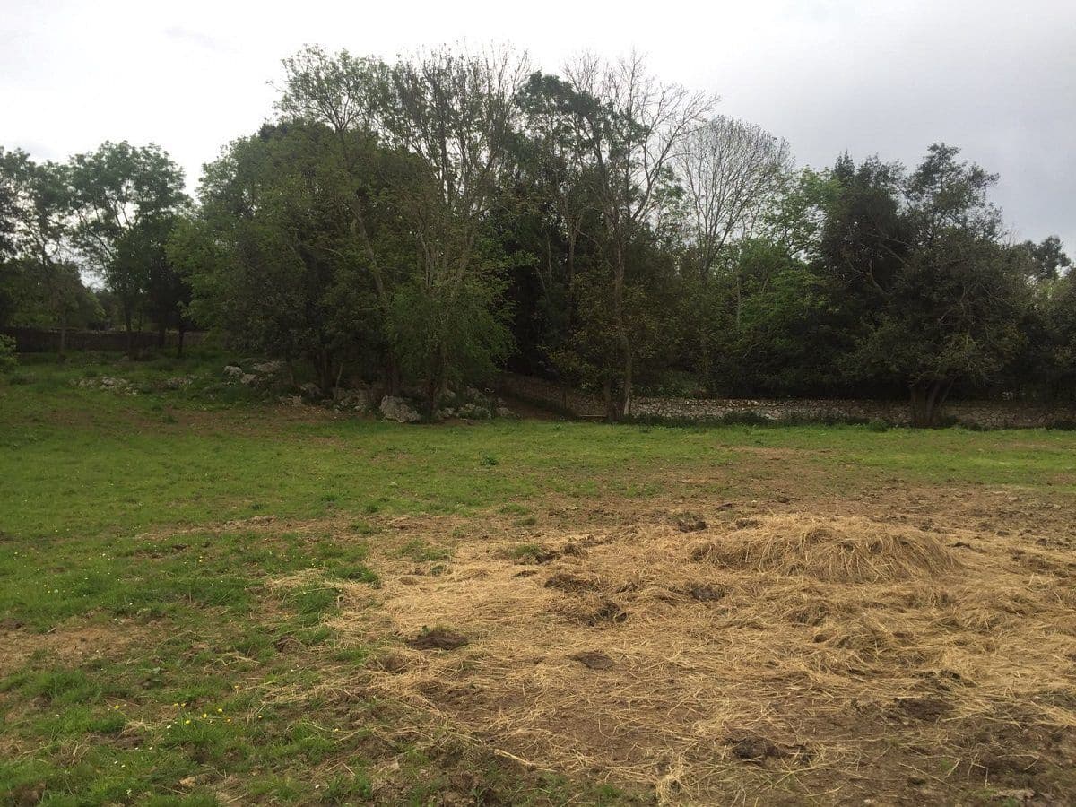 Ubebygd land til salgs i Llanes - € 1 200 000 (Ref: 9443474)