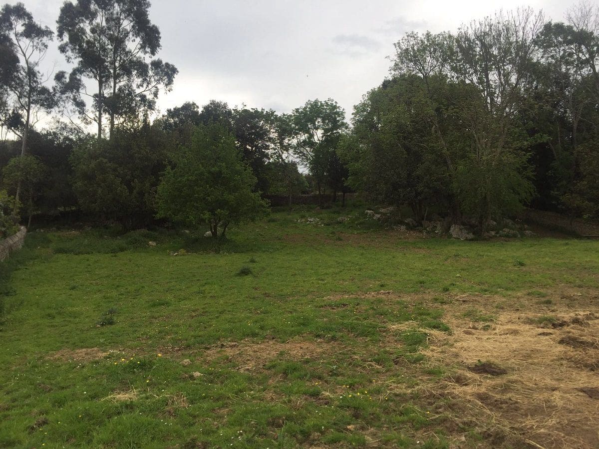 Ubebygd land til salgs i Llanes - € 1 200 000 (Ref: 9443474)