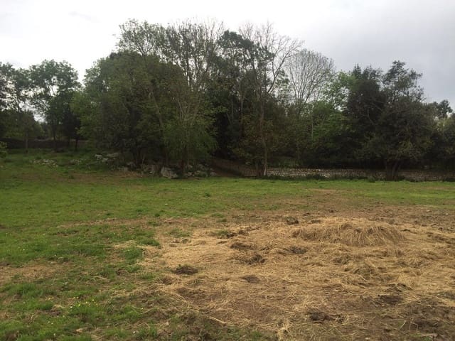 Ubebygd land til salgs i Llanes - € 1 200 000 (Ref: 9443474)