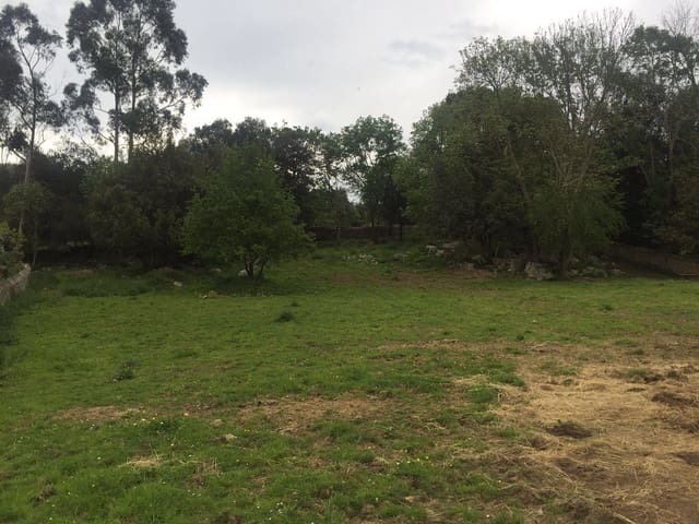 Ubebygd land til salgs i Llanes - € 1 200 000 (Ref: 9443474)