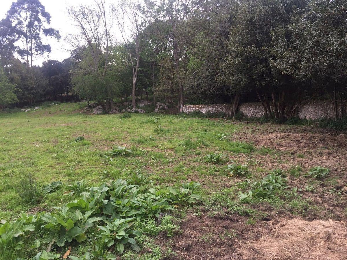 Ubebygd land til salgs i Llanes - € 1 200 000 (Ref: 9443474)