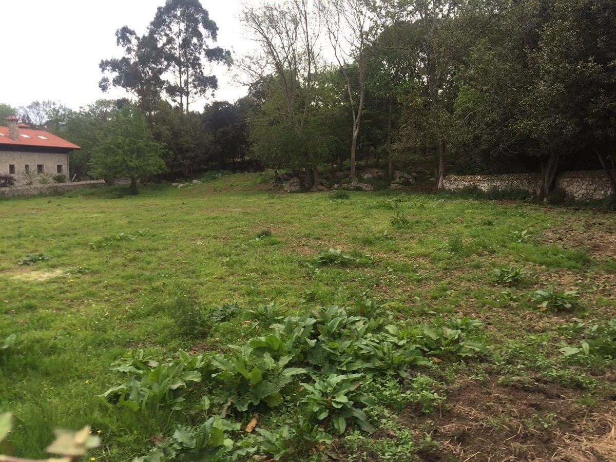 Ubebygd land til salgs i Llanes - € 1 200 000 (Ref: 9443474)