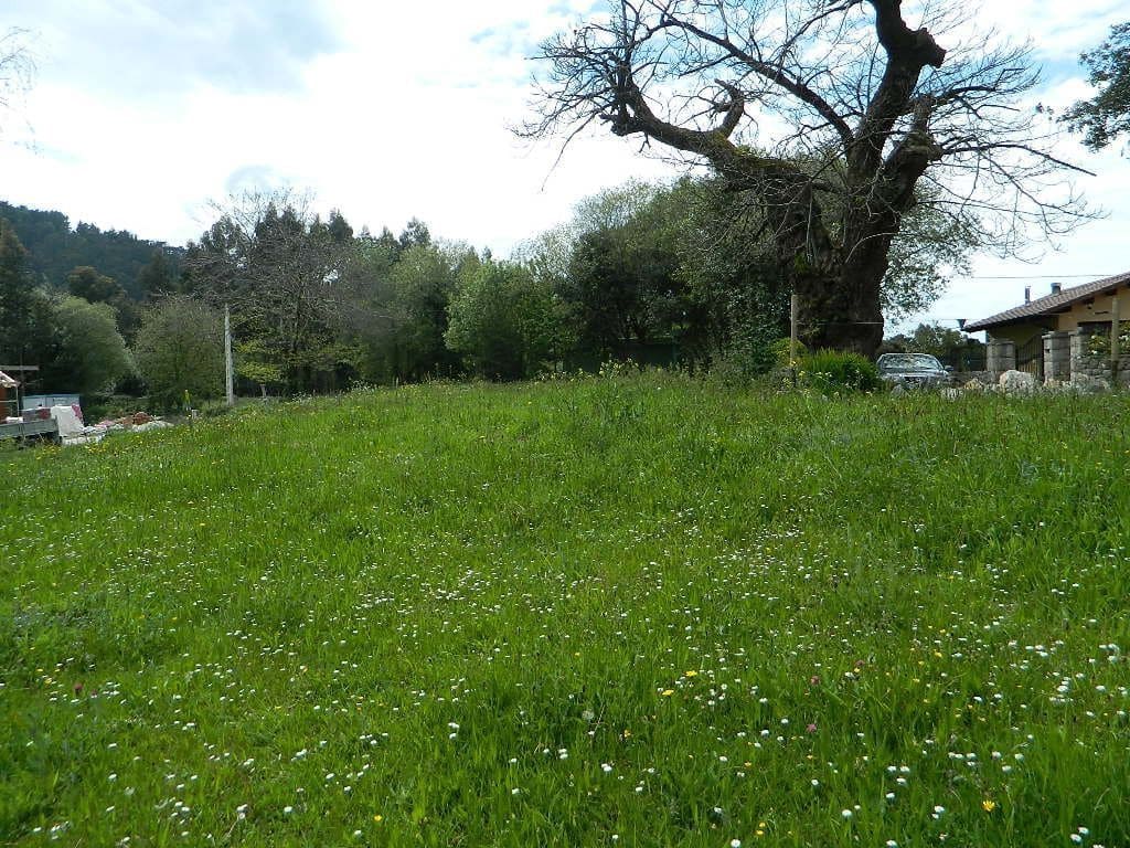 Terreno Não Urbanizado para venda em Llanes - 75 000 € (Ref: 9443475)
