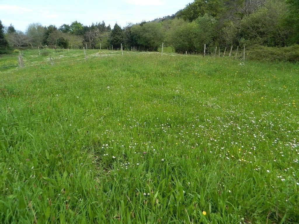 Terreno Não Urbanizado para venda em Llanes - 75 000 € (Ref: 9443475)
