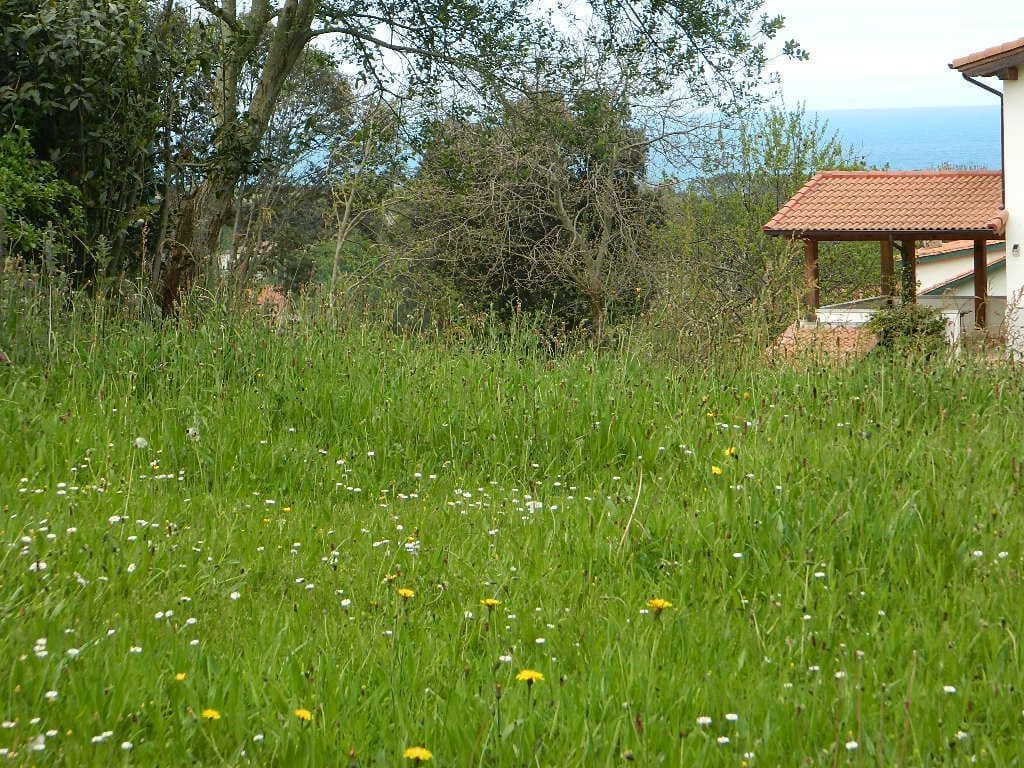 Terreno Não Urbanizado para venda em Llanes - 75 000 € (Ref: 9443475)