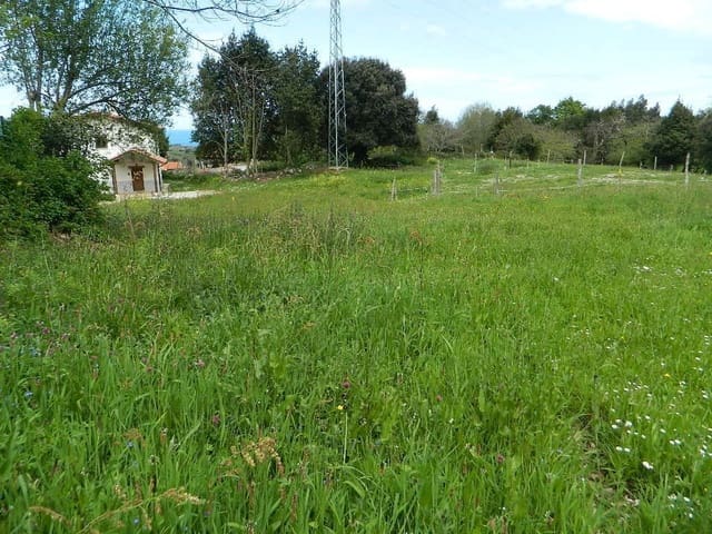 Terreno Não Urbanizado para venda em Llanes - 75 000 € (Ref: 9443475)