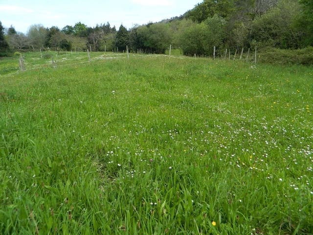 Terreno Não Urbanizado para venda em Llanes - 75 000 € (Ref: 9443475)