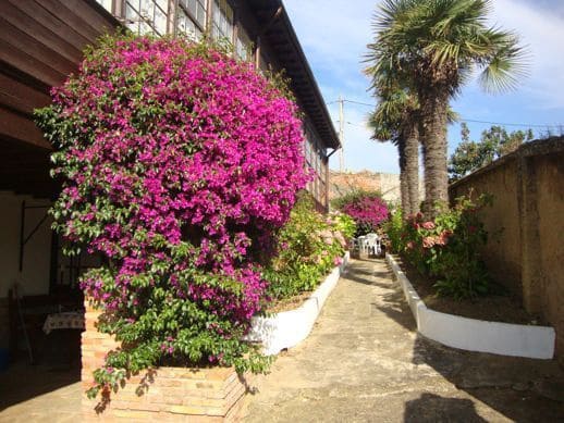 6 bedroom Townhouse for sale in Llanes - € 3,000,000 (Ref: 9443476)