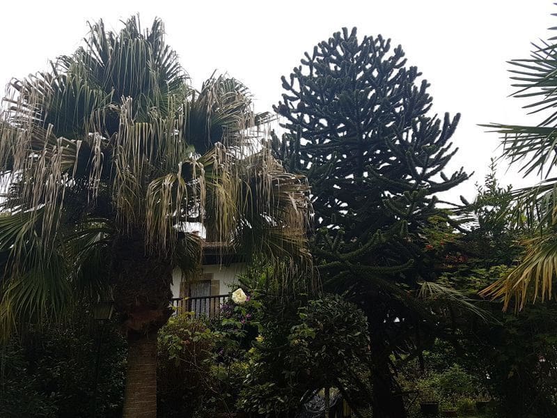 Casa de 8 habitaciones en Llanes en venta - 1.600.000 € (Ref: 9443477)