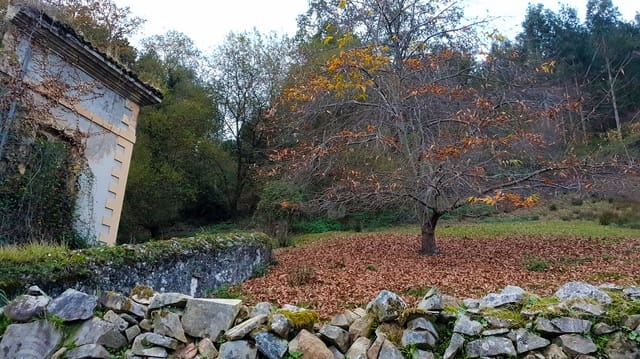 8 soveværelse Byhus til salg i Tresgrandas, Llanes - € 150.000 (Ref: 9443479)