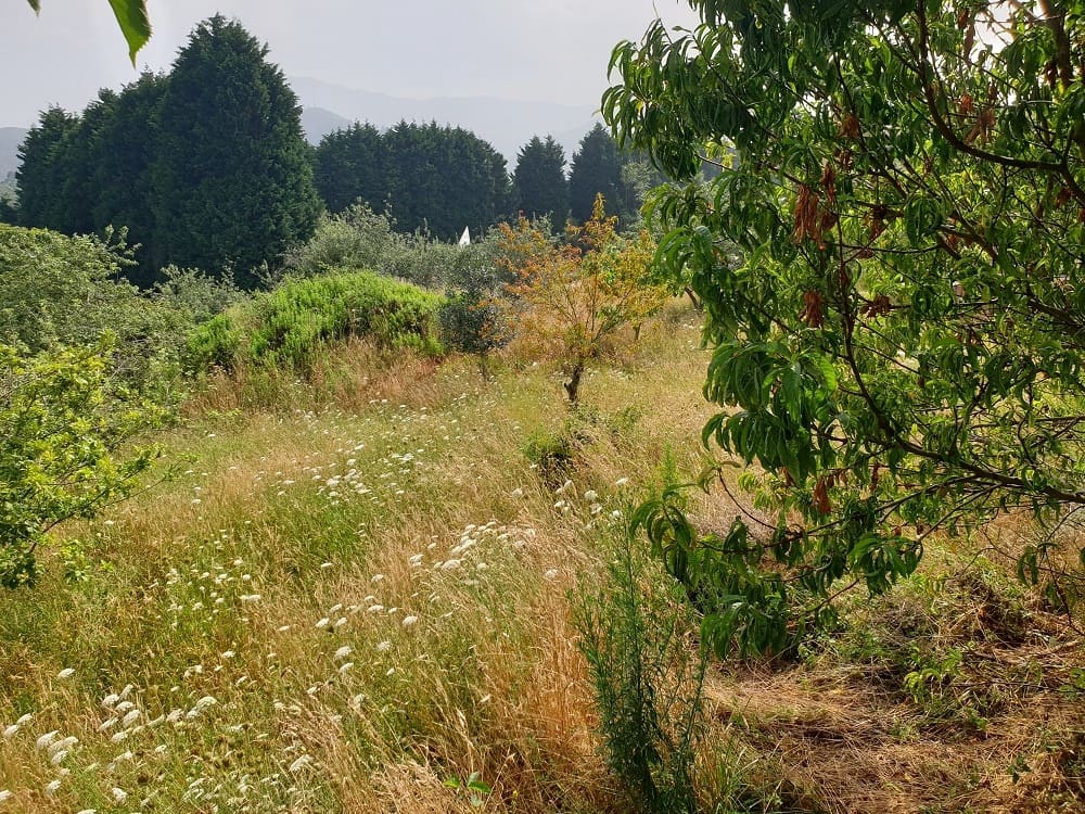 Terreno Não Urbanizado para venda em Llanes - 300 000 € (Ref: 9443480)