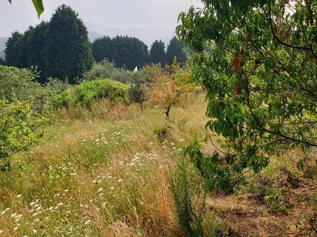 Terreno Não Urbanizado para venda em Llanes - 300 000 € (Ref: 9443480)