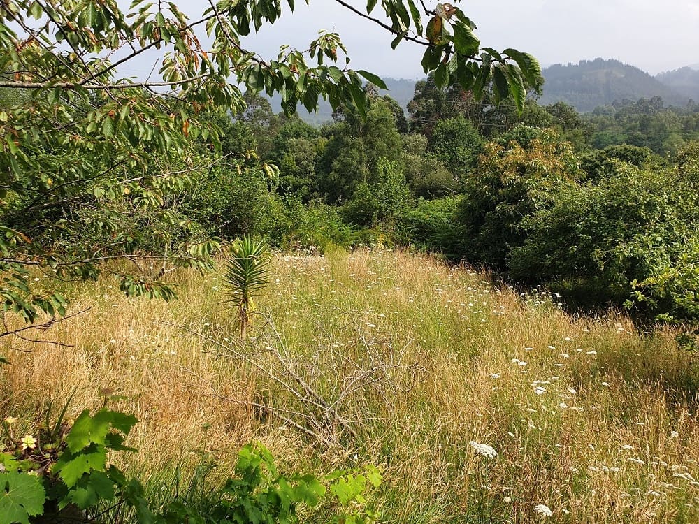 Terreno Não Urbanizado para venda em Llanes - 300 000 € (Ref: 9443480)