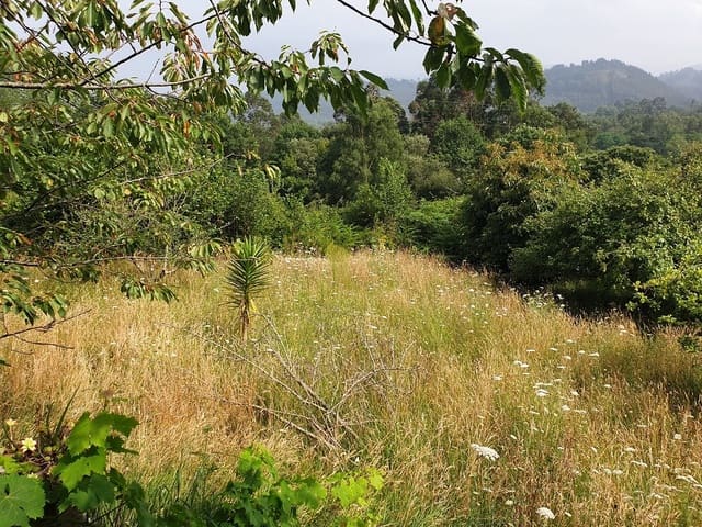 Terreno Não Urbanizado para venda em Llanes - 300 000 € (Ref: 9443480)