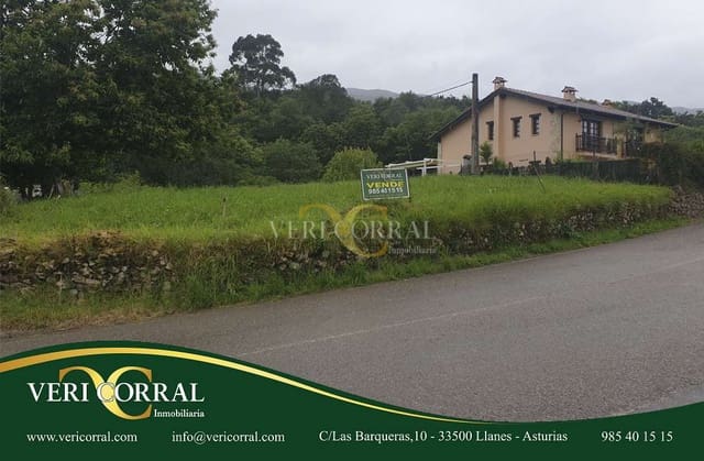 Ubebygd land til salgs i Ribadedeva - € 134 000 (Ref: 9443484)