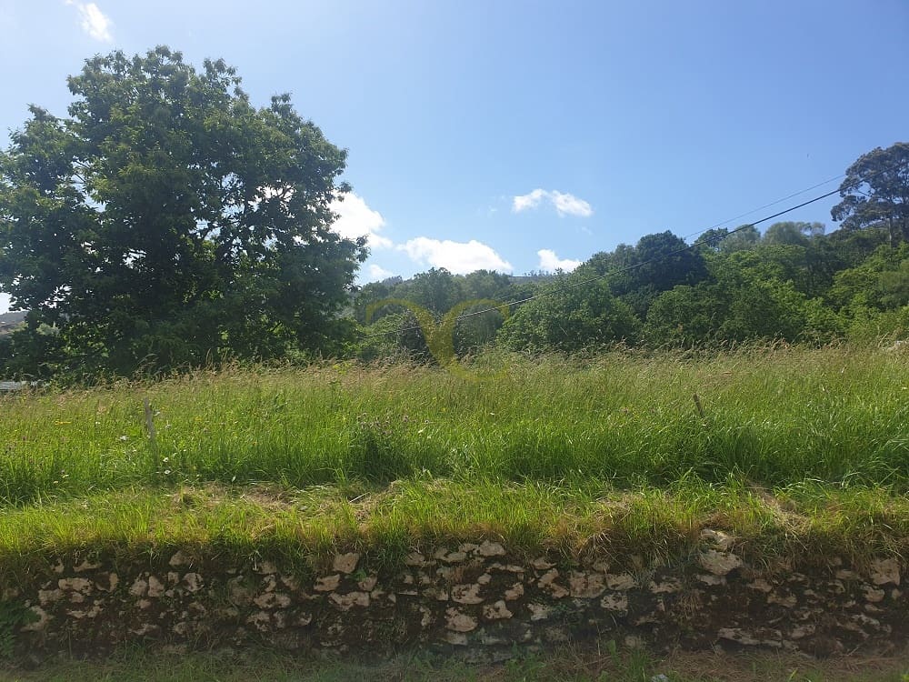 Ubebygd land til salgs i Ribadedeva - € 134 000 (Ref: 9443484)