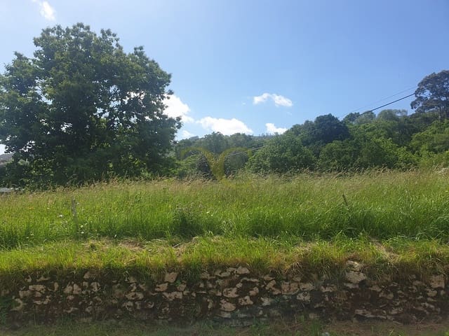 Ubebygd land til salgs i Ribadedeva - € 134 000 (Ref: 9443484)