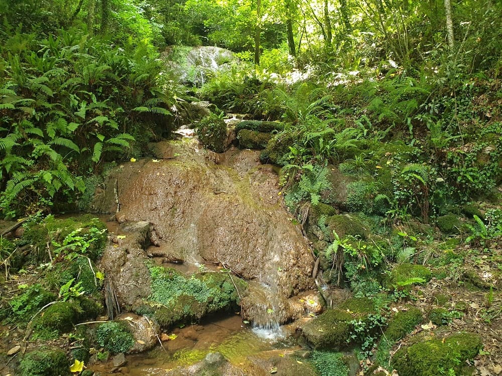 8 Zimmer Haus zu verkaufen in Villaviciosa - 2.200.000 € (Ref: 9443485)