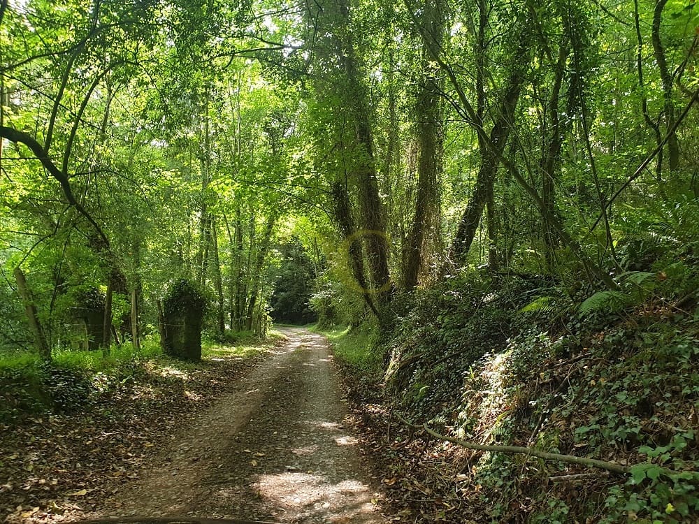 8 Zimmer Haus zu verkaufen in Villaviciosa - 2.200.000 € (Ref: 9443485)