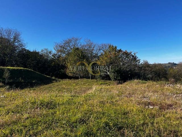 Terreno Não Urbanizado para venda em Ribadesella - 240 000 € (Ref: 9443488)