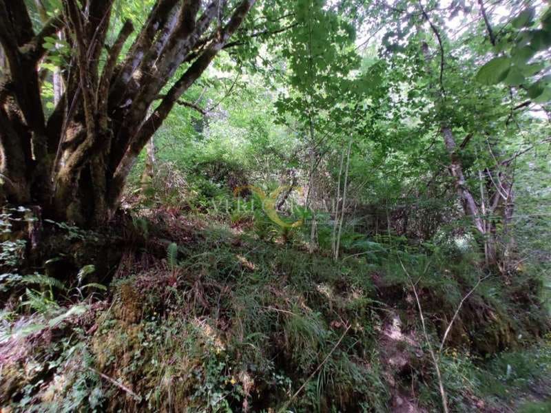 2 sovrum Hus till salu i Cangas de Onis - 70 000 € (Ref: 9443493)