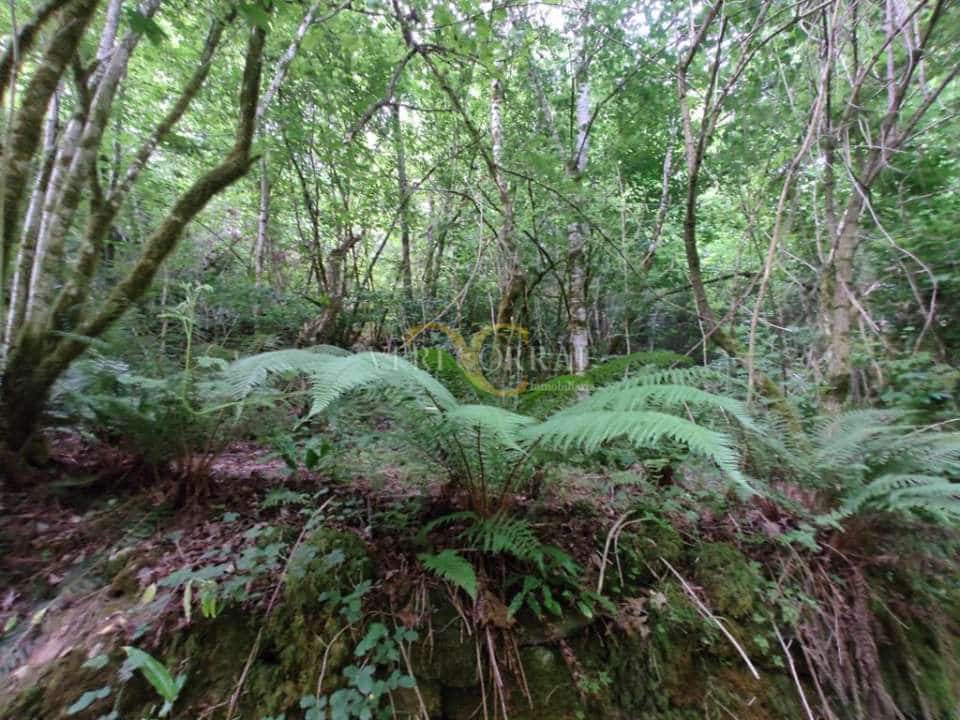 2 sovrum Hus till salu i Cangas de Onis - 70 000 € (Ref: 9443493)