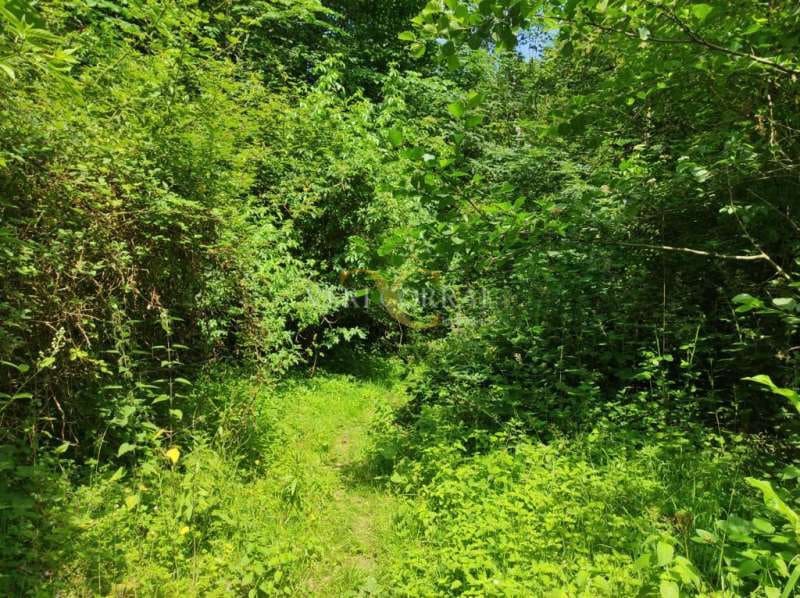 2 sovrum Hus till salu i Cangas de Onis - 70 000 € (Ref: 9443493)