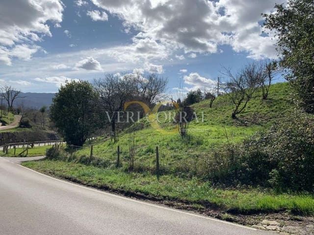 Terreno Não Urbanizado para venda em Ribadesella - 105 000 € (Ref: 9443495)