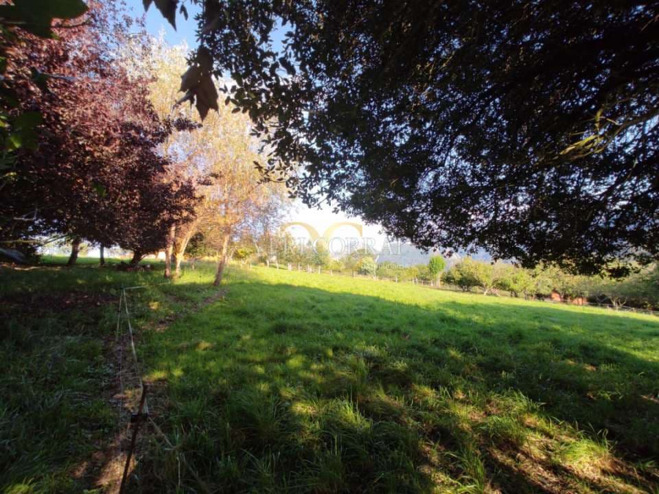Terreno Não Urbanizado para venda em Ribadesella - 180 000 € (Ref: 9443496)