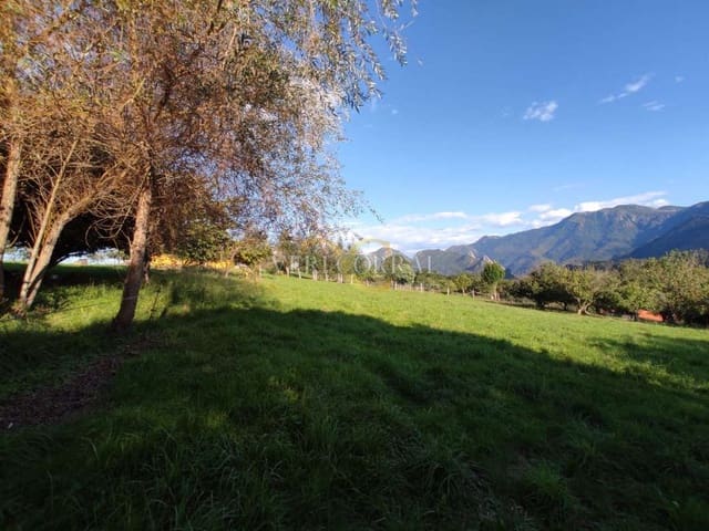 Terreno Não Urbanizado para venda em Ribadesella - 180 000 € (Ref: 9443496)