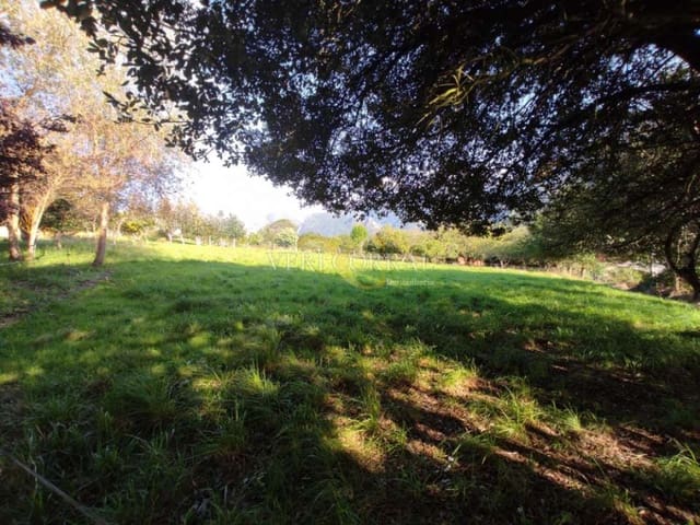 Terreno Não Urbanizado para venda em Ribadesella - 180 000 € (Ref: 9443496)
