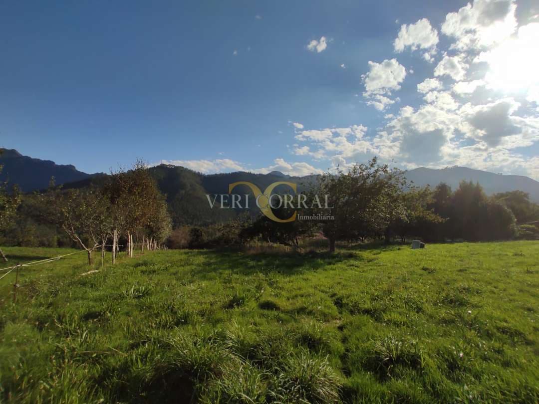 Terreno Não Urbanizado para venda em Ribadesella - 180 000 € (Ref: 9443496)