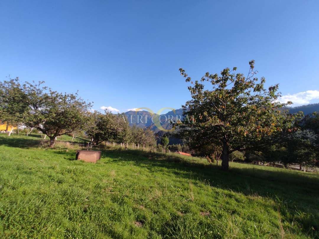 Terreno Não Urbanizado para venda em Ribadesella - 180 000 € (Ref: 9443496)