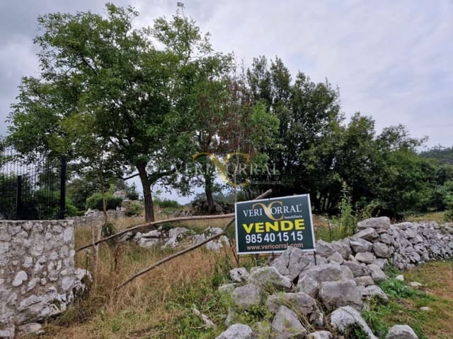 Ubebygd land til salgs i Llanes - € 65 000 (Ref: 9443498)