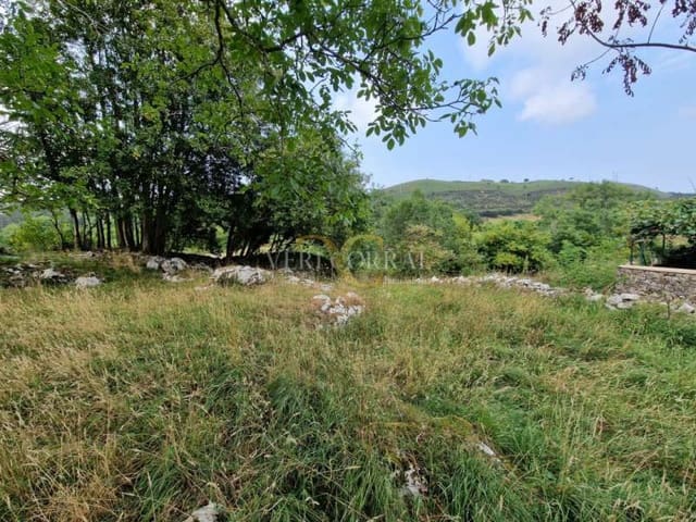 Ubebygd land til salgs i Llanes - € 65 000 (Ref: 9443498)