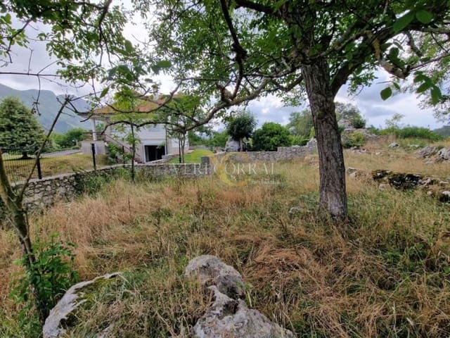 Ubebygd land til salgs i Llanes - € 65 000 (Ref: 9443498)